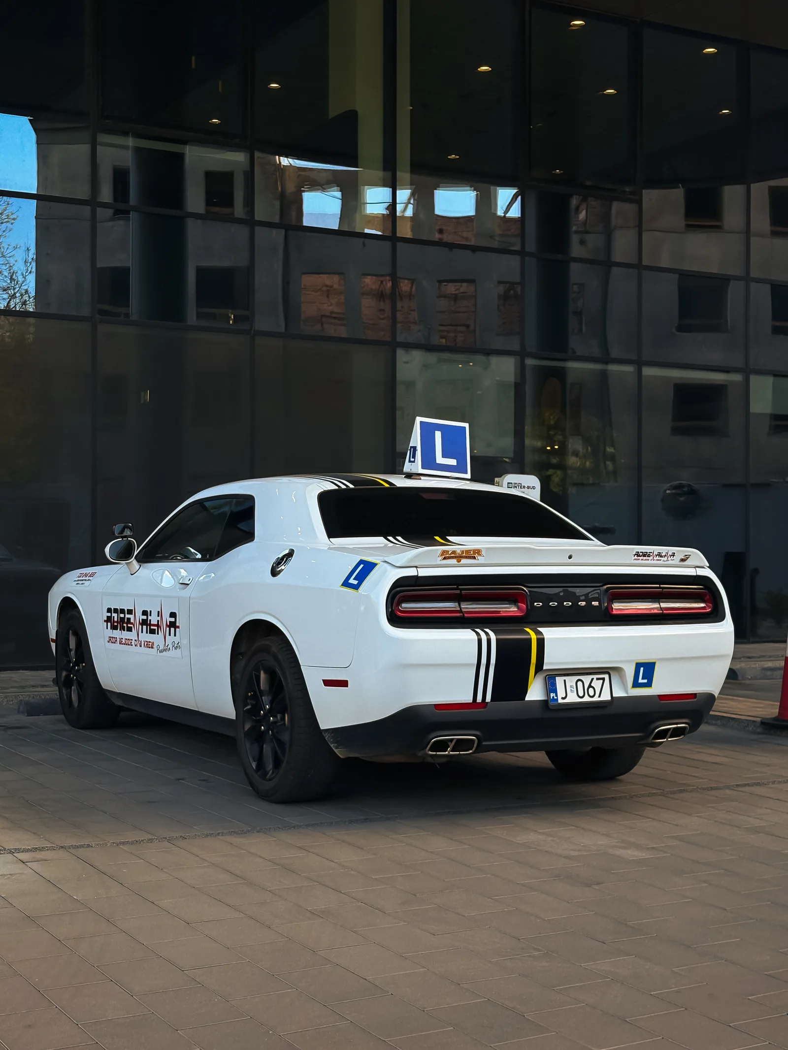 Dodge Challenger – tył auta