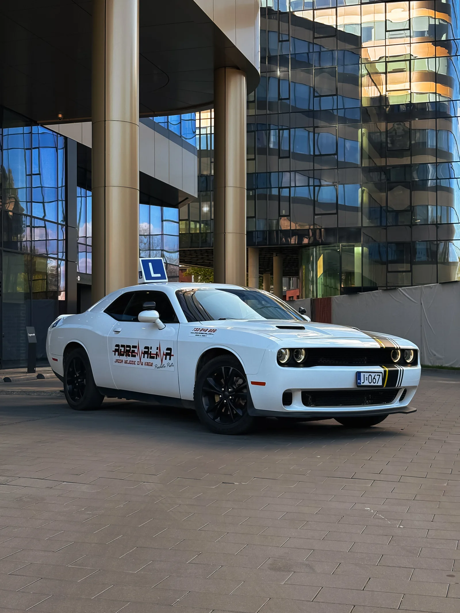 Dodge Challenger – widok z przodu